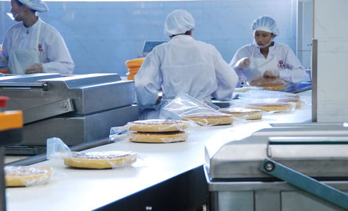 食品工厂车间排水沟设计